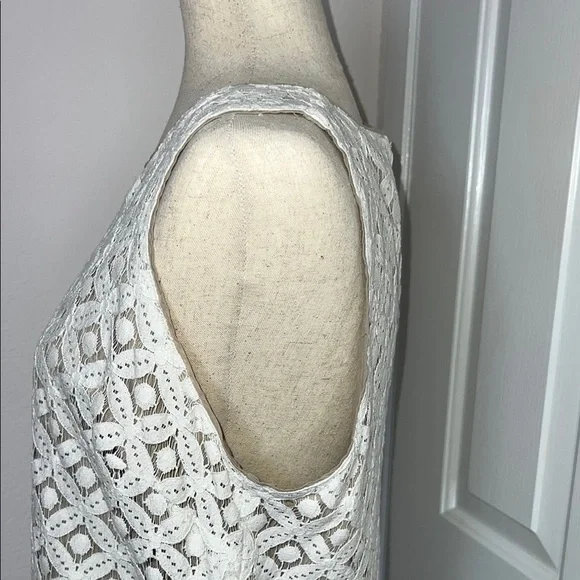 Apt.9 Chic White Sleeveless Lace Dress - Picture 5 of 10